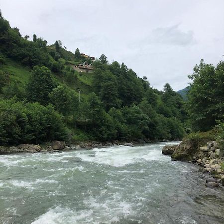 Afara Bungalows Otel & Cafe Rize Exteriör bild
