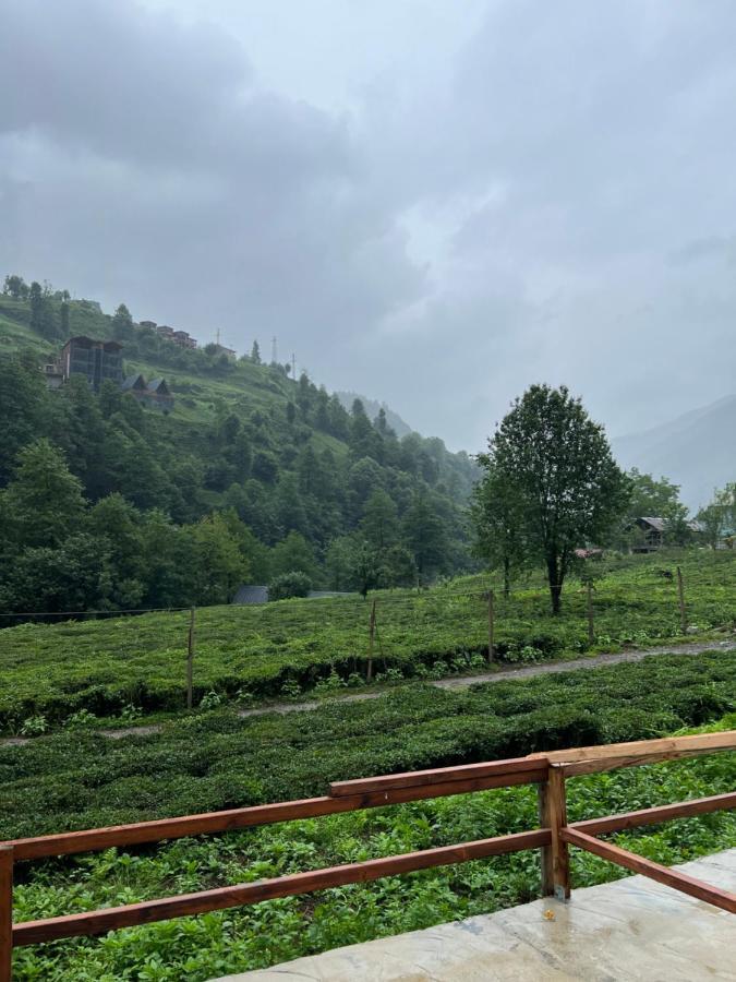 Afara Bungalows Otel & Cafe Rize Exteriör bild